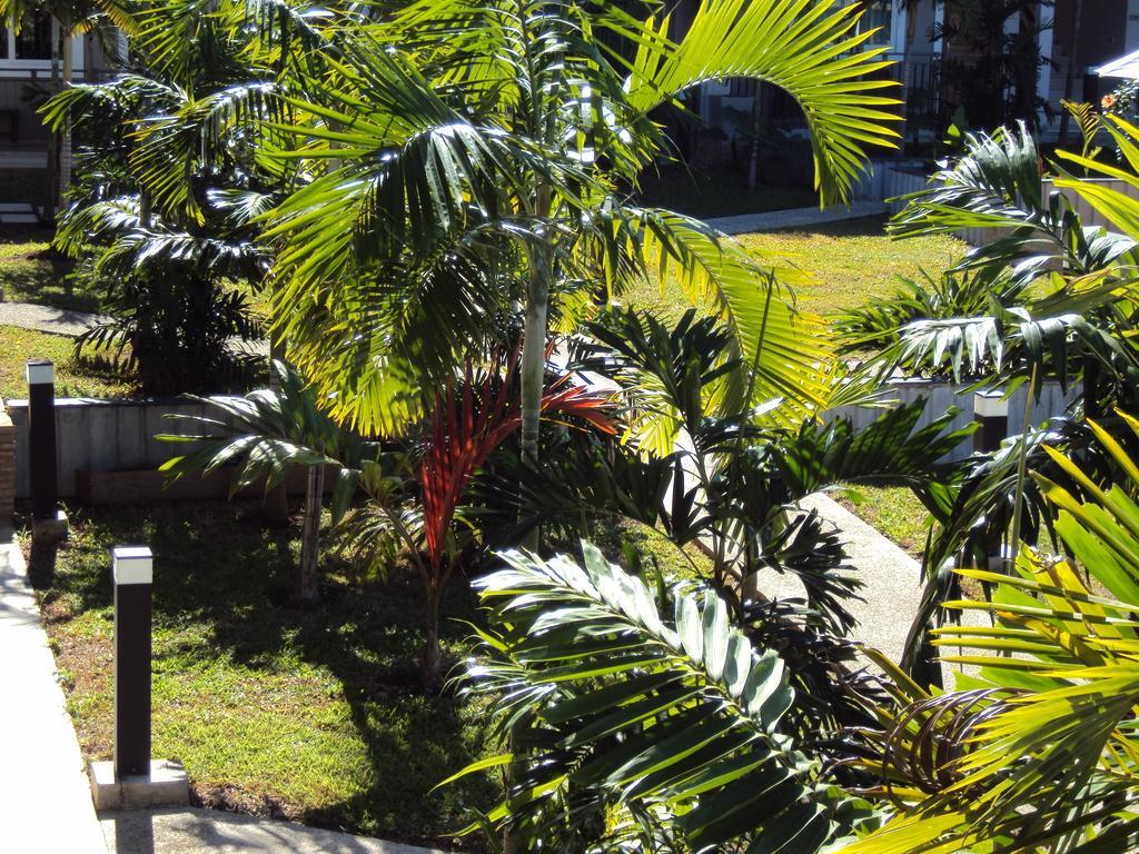 Hotel Colibri โกเน ภายนอก รูปภาพ